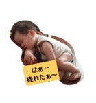 はくたん スタンプ（個別スタンプ：20）