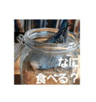 s-我が家の鳥（個別スタンプ：23）