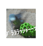s-我が家の鳥（個別スタンプ：28）