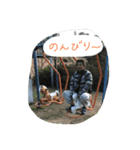 前川家の人々2（個別スタンプ：12）