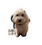 モフモフの友達（個別スタンプ：7）