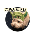モフモフの友達（個別スタンプ：11）