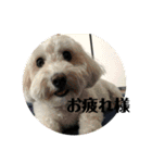モフモフの友達（個別スタンプ：19）