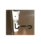 まーさんの生活（個別スタンプ：3）