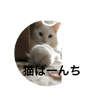 まーさんの生活（個別スタンプ：6）