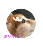 アトム君（個別スタンプ：8）