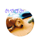 アトム君（個別スタンプ：11）