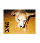 アトム君（個別スタンプ：13）