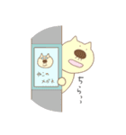 ねこおじじ（個別スタンプ：12）