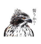 日本の野鳥4（個別スタンプ：5）