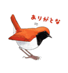 日本の野鳥4（個別スタンプ：6）