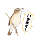 日本の野鳥4（個別スタンプ：9）