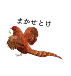 日本の野鳥4（個別スタンプ：14）