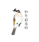 日本の野鳥4（個別スタンプ：19）