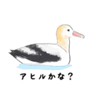 日本の野鳥4（個別スタンプ：29）