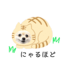 ポメラニアンのくーちゃん（個別スタンプ：17）