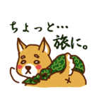 柴犬／まるちゃん（個別スタンプ：3）