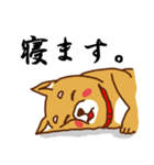 柴犬／まるちゃん（個別スタンプ：12）