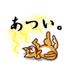 柴犬／まるちゃん（個別スタンプ：13）