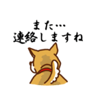 柴犬／まるちゃん（個別スタンプ：14）