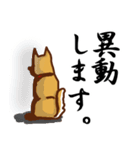 柴犬／まるちゃん（個別スタンプ：19）