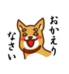 柴犬／まるちゃん（個別スタンプ：20）