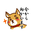 柴犬／まるちゃん（個別スタンプ：21）