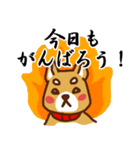 柴犬／まるちゃん（個別スタンプ：22）