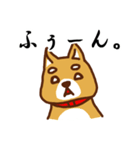 柴犬／まるちゃん（個別スタンプ：24）