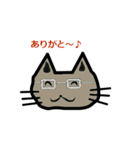 めがね猫（個別スタンプ：3）