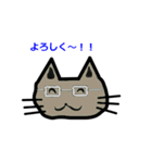 めがね猫（個別スタンプ：4）