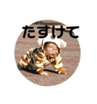 かめゆきちゃん（個別スタンプ：25）