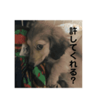 レンすたんぷ（個別スタンプ：7）