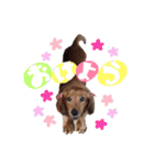 ちょっぴスタンプ（個別スタンプ：1）