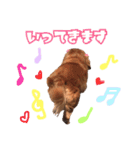 ちょっぴスタンプ（個別スタンプ：9）