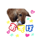 ちょっぴスタンプ（個別スタンプ：21）
