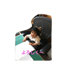 ao君スタンプpart2（個別スタンプ：2）