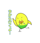 インコのポテチさんと仲間たち（個別スタンプ：16）