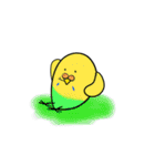 インコのポテチさんと仲間たち（個別スタンプ：24）