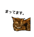 深川猫近堂 ほっこり猫ライフ Vol.3（個別スタンプ：6）