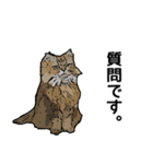 深川猫近堂 ほっこり猫ライフ Vol.3（個別スタンプ：17）