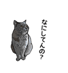 深川猫近堂 ほっこり猫ライフ Vol.3（個別スタンプ：21）