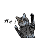 深川猫近堂 ほっこり猫ライフ Vol.3（個別スタンプ：22）
