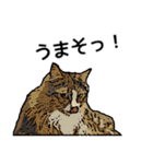 深川猫近堂 ほっこり猫ライフ Vol.3（個別スタンプ：34）