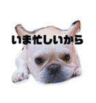 武美だよ（個別スタンプ：6）