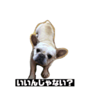 武美だよ（個別スタンプ：8）