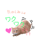 ムギムギライフ2（個別スタンプ：6）