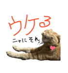 ムギムギライフ2（個別スタンプ：7）