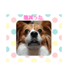 みんとくんの日常（個別スタンプ：1）