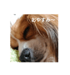 みんとくんの日常（個別スタンプ：5）